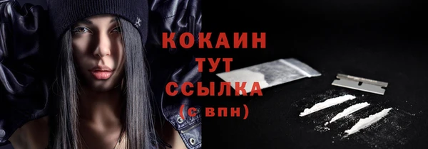 стафф Богородицк