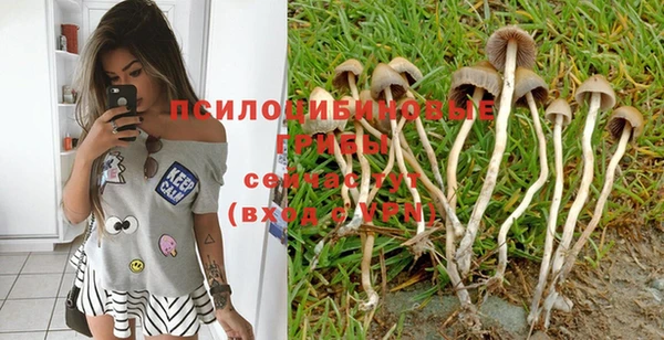 стафф Богородицк