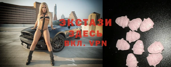 стафф Богородицк