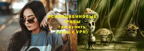 скорость Богородск