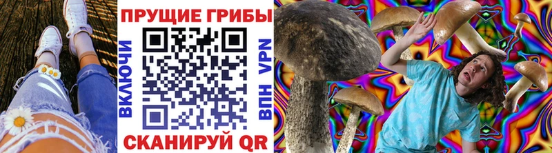 Галлюциногенные грибы Magic Shrooms  блэк спрут зеркало  Малмыж 
